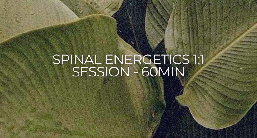 Spinal Energetics 1:1 Session
